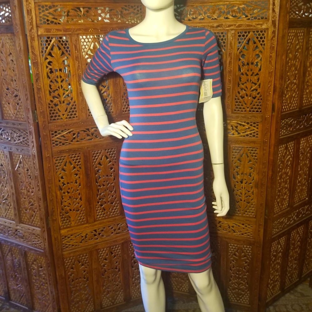 NWT Lularoe, pink and smokey blue Julia dress